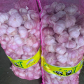 China fresh garlic factory offer CIF, new crop fresh garlic export